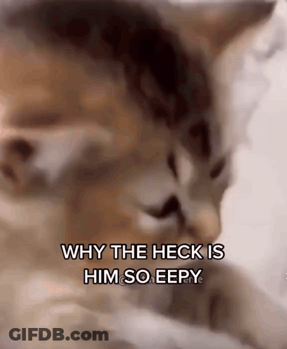 A Close Up Of A Cat With The Words Why The Heck Is Him So Eepy GIF