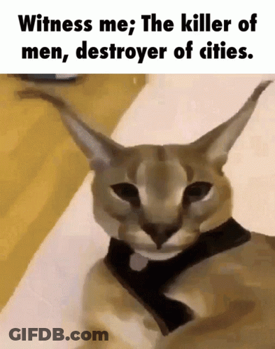 A Close Up Of A Cat With The Words Witness Me The Killer Of Men Destroyer Of Cities GIF