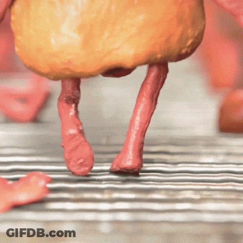 A Close Up Of A Chicken 'S Legs And Feet On A Metal Tray GIF