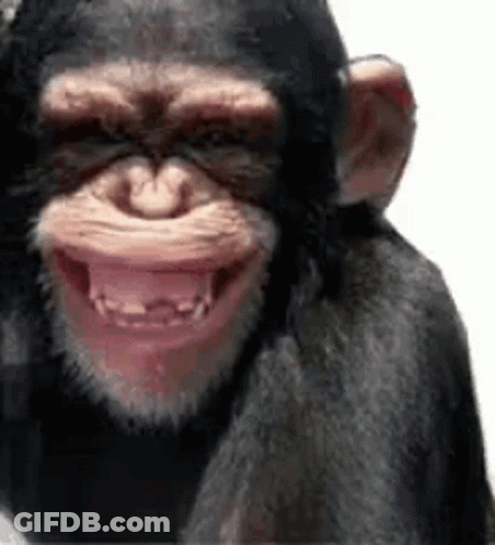 A Close Up Of A Chimpanzee 'S Face With Its Mouth Open And Teeth Showing . GIF