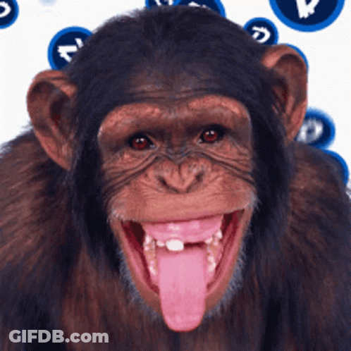 A Close Up Of A Chimpanzee With Its Mouth Open And Its Tongue Sticking Out GIF