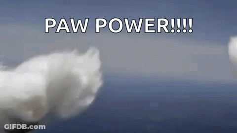 A Close Up Of A Cloud With The Words Paw Power Written On It GIF