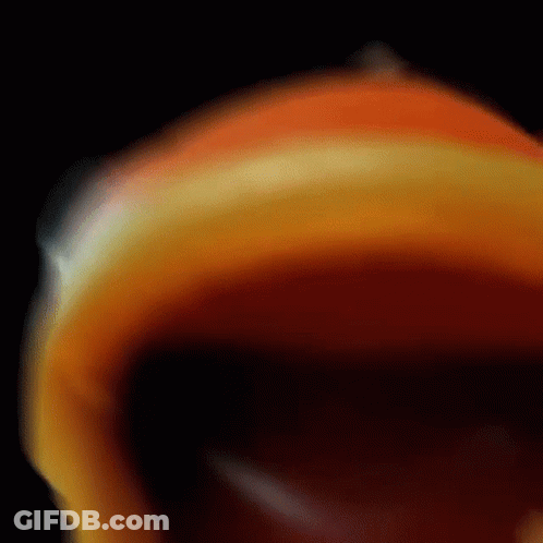 A Close Up Of A Colorful Circle On A Black Background GIF