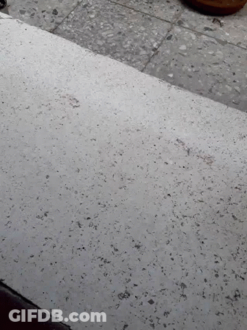 A Close Up Of A Concrete Wall With A Lot Of Small Stones On It GIF