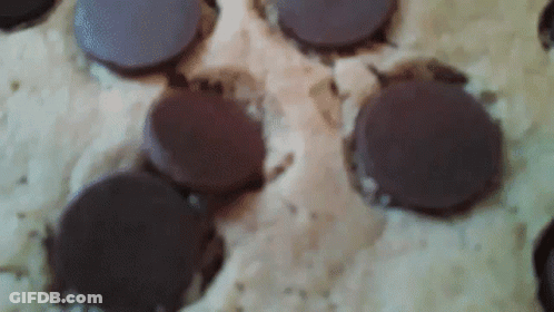 A Close Up Of A Cookie With Chocolate Chips On It GIF