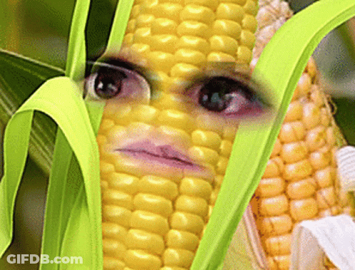 A Close Up Of A Corn Cob With A Person 'S Face On It GIF