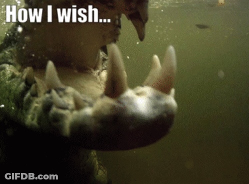 A Close Up Of A Crocodile Mouth With The Words " How I Wish " Below It GIF