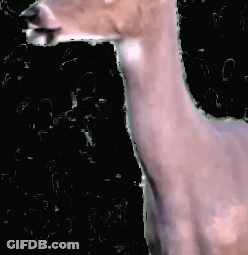 A Close Up Of A Deer 'S Neck With A Black Background GIF