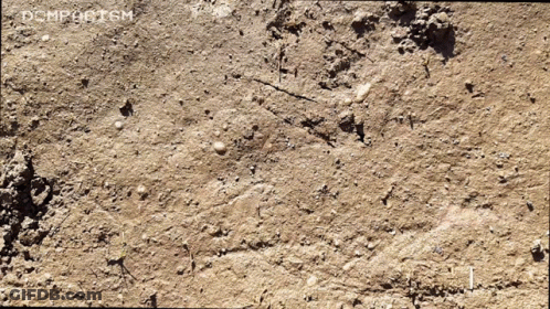 A Close Up Of A Dirt Surface With The Word Compostm Written On The Bottom GIF