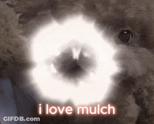 A Close Up Of A Dog 'S Eye With The Words " I Love Mulch " Written Above It GIF