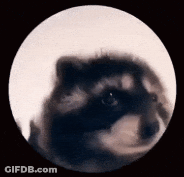 A Close Up Of A Dog 'S Face In A Circle With A Black Background GIF