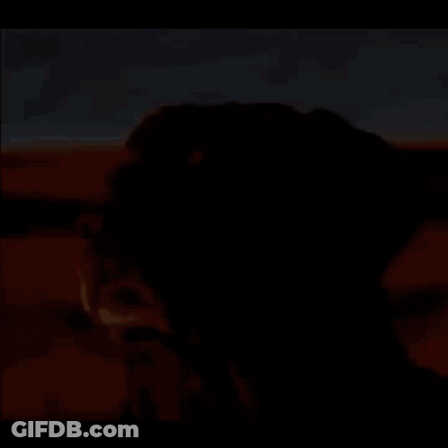 A Close Up Of A Dog 'S Face In A Desert GIF
