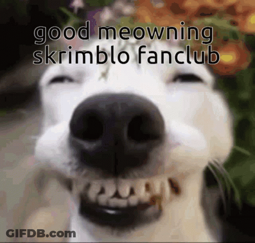 A Close Up Of A Dog 'S Face With The Words " Good Meowning Skrimblo Fanclub " On It GIF
