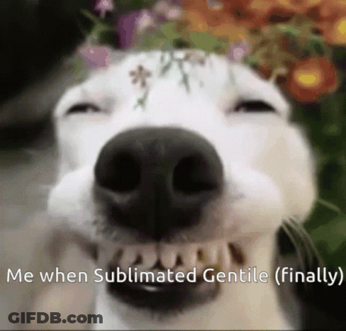 A Close Up Of A Dog 'S Face With The Words " Me When Sublimated Gentle ( Finally ) " Below It GIF