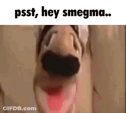 A Close Up Of A Dog 'S Face With The Words Psst Hey Smegma Written Below It GIF