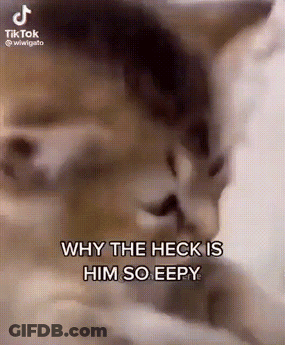 A Close Up Of A Dog 'S Face With The Words `` Why The Heck Is Him So Eepy '' . GIF