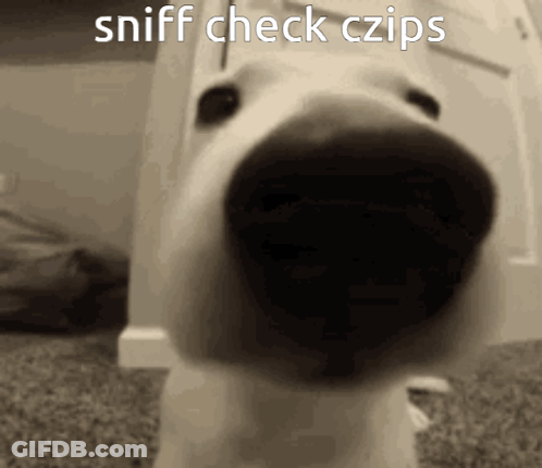 A Close Up Of A Dog 'S Nose With The Words Sniff Check Czips Written Above It GIF