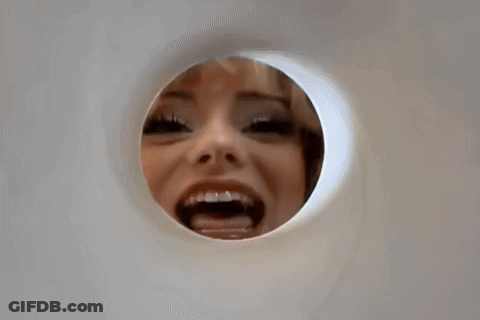 A Close Up Of A Dog 'S Paws Sticking Out Of A Hole In A Wall . GIF