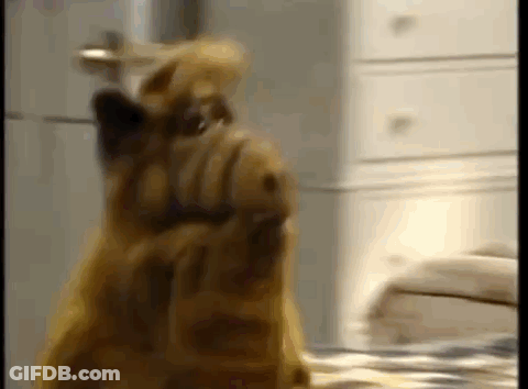 A Close Up Of A Dog Sitting On A Bed With Its Head On Its Paws . GIF
