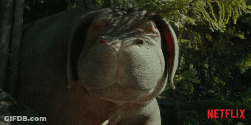 A Close Up Of A Dog With A Netflix Logo In The Corner GIF