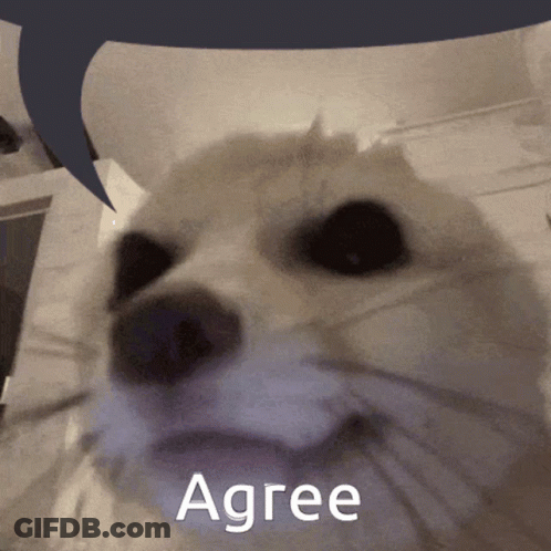 A Close Up Of A Dog With A Speech Bubble Above It That Says Agree GIF