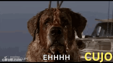 A Close Up Of A Dog With Blood Coming Out Of Its Nose . GIF