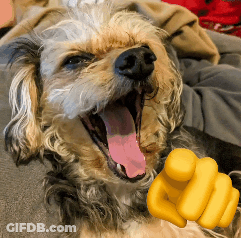 A Close Up Of A Dog With Its Mouth Open And A Yellow Finger Pointing At It GIF