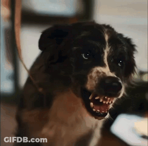 A Close Up Of A Dog With Its Mouth Open And Sharp Teeth GIF