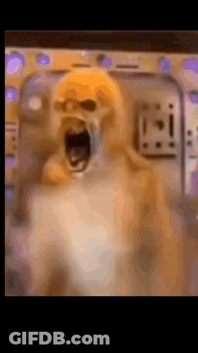 A Close Up Of A Dog With Its Mouth Open In Front Of A Control Panel GIF