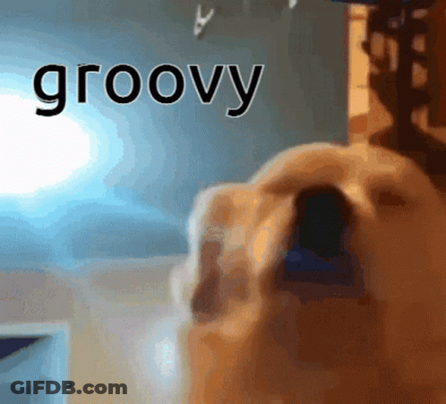 A Close Up Of A Dog With The Word Groovy In The Background GIF