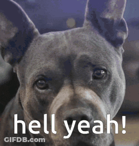 A Close Up Of A Dog With The Words Hell Yeah Written Above It GIF