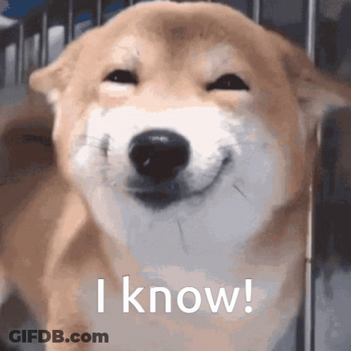 A Close Up Of A Dog With The Words I Know Written Below It GIF