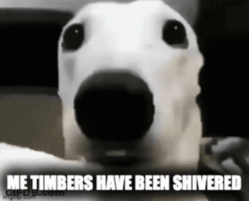 A Close Up Of A Dog With The Words Me Timbers Have Been Shivered Written Below It GIF
