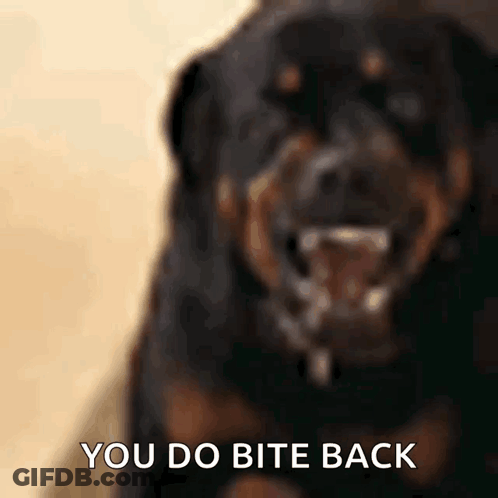 A Close Up Of A Dog With The Words " You Do Bite Back " Written Below It GIF