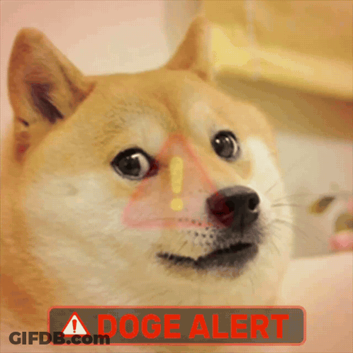 A Close Up Of A Doge With A Doge Alert Sign GIF