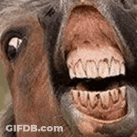 A Close Up Of A Donkey 'S Mouth With Its Tongue Hanging Out And A Lot Of Teeth . GIF