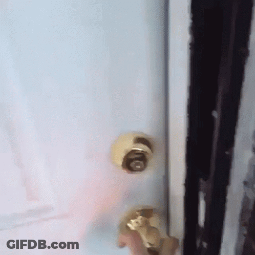 A Close Up Of A Door With A Gold Knob That Says ' O ' On It GIF