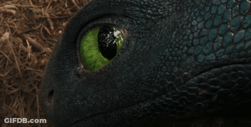 A Close Up Of A Dragon 'S Eye With A Green Pupil GIF