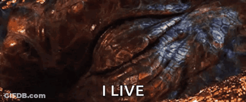 A Close Up Of A Dragon 'S Eye With The Words " I Live " Written Below It GIF