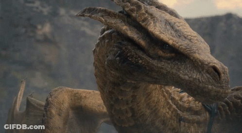 A Close Up Of A Dragon 'S Face With A Blurred Background GIF