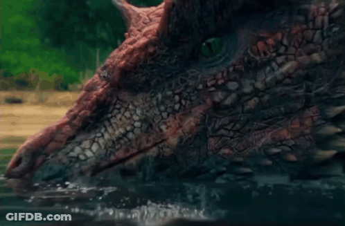 A Close Up Of A Dragon 'S Head Swimming In The Water GIF