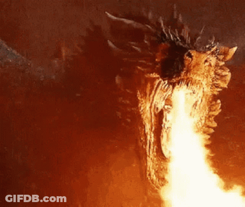 A Close Up Of A Dragon 'S Head With Flames Coming Out Of It 'S Mouth . GIF