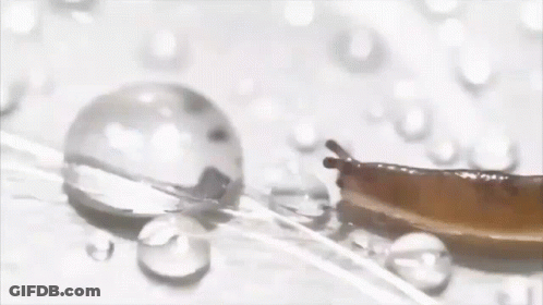A Close Up Of A Drop Of Liquid On A Table GIF