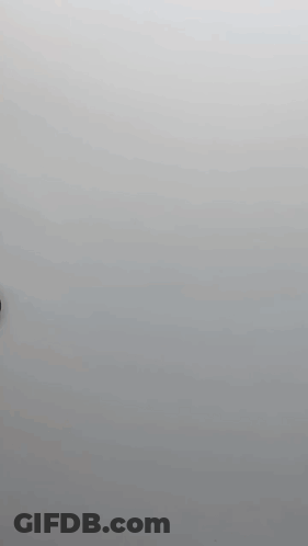 A Close Up Of A Duck 'S Head Against A Grey Background . GIF