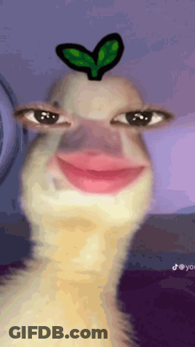 A Close Up Of A Duck With A Heart On Its Head GIF