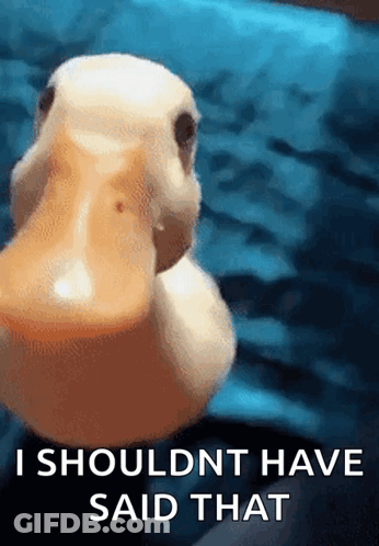 A Close Up Of A Duck With The Words " I Should Nt Have Said That " Written Below It GIF