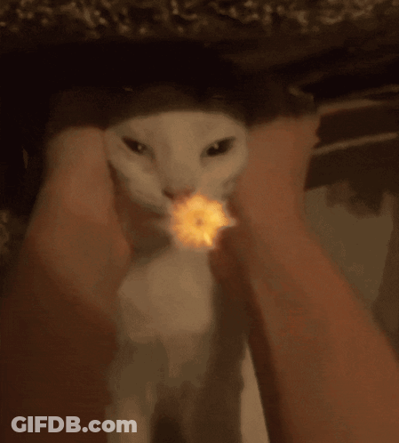 A Close Up Of A Fireball That Looks Like A Sphere GIF