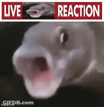 A Close Up Of A Fish With Its Mouth Open And A Live Reaction Sign Above It GIF