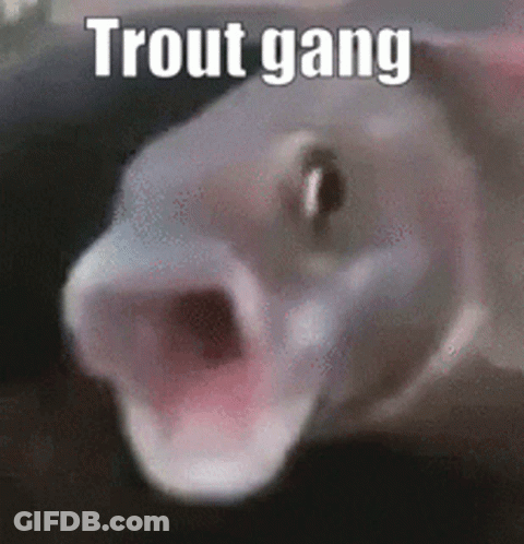 A Close Up Of A Fish With Its Mouth Open And The Words `` Trout Gang '' Written On It . GIF