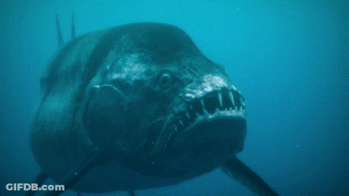 A Close Up Of A Fish With Sharp Teeth Swimming In The Ocean GIF